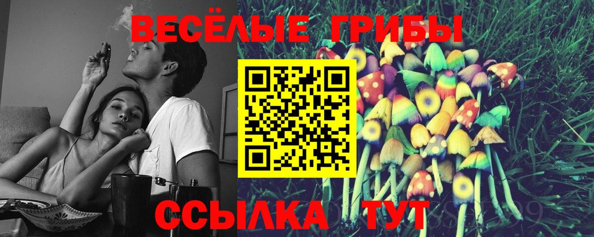 Псилоцибиновые грибы Cubensis  Вход с VPN  Менделеевск 